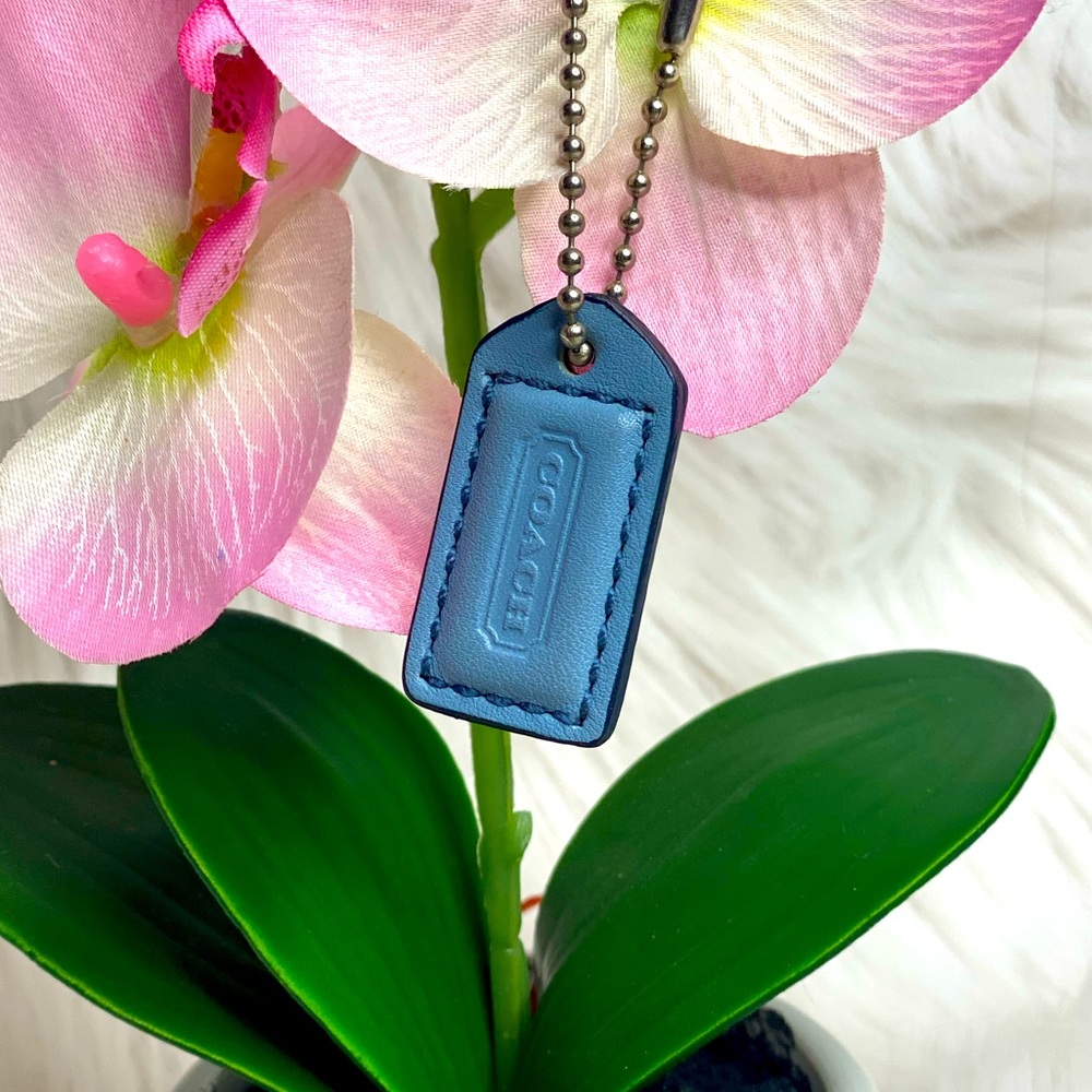 Mini baby blue Coach hangtag